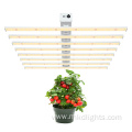 800 W Infrared Grow Light Attractive